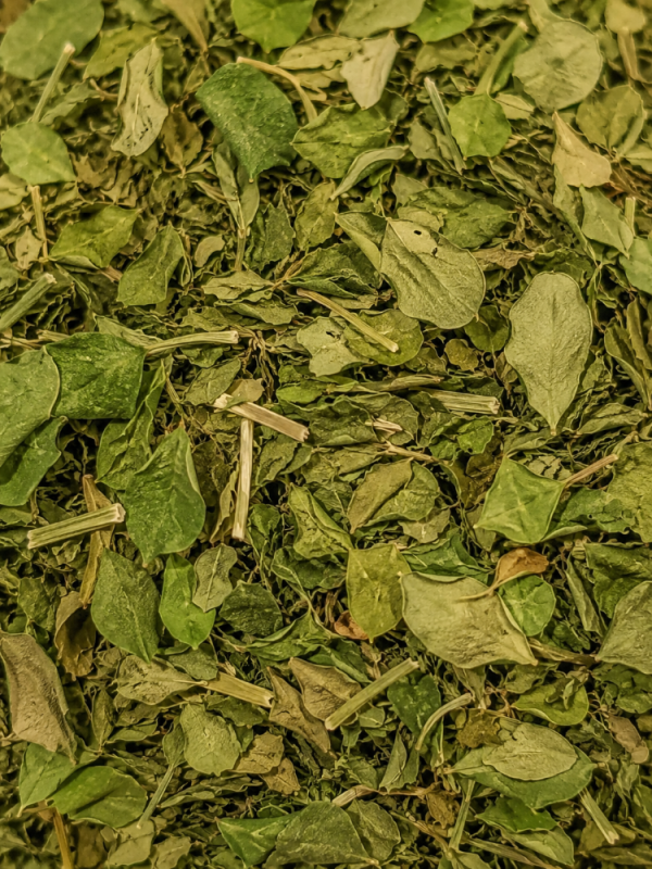 Морінга листя (1 грам)